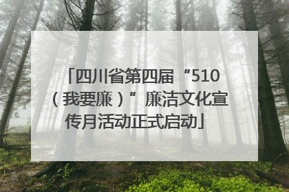 四川省第四届“510（我要廉）”廉洁文化宣传月活动正式启动