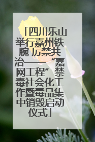 四川乐山举行嘉州铁腕 厉禁共治——“嘉网工程”禁毒社会化工作暨毒品集中销毁启动仪式