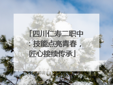 四川仁寿二职中：技能点亮青春，匠心接续传承