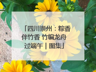 四川崇州：粽香伴竹香 竹编龙舟过端午｜图集