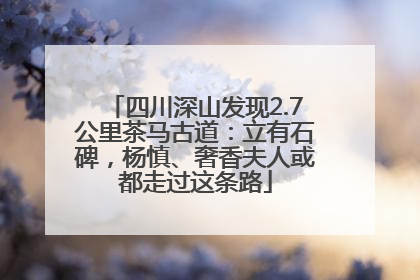 四川深山发现2.7公里茶马古道：立有石碑，杨慎、奢香夫人或都走过这条路