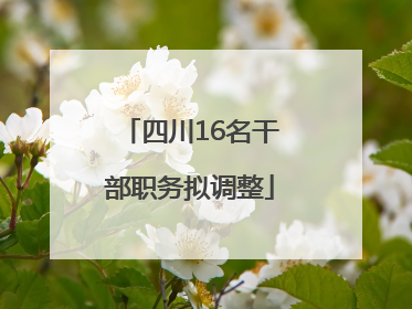 四川16名干部职务拟调整