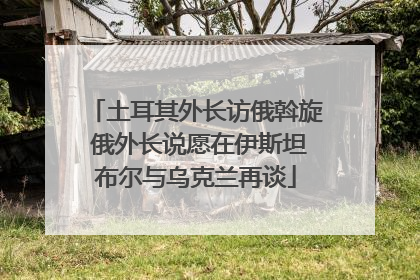 土耳其外长访俄斡旋 俄外长说愿在伊斯坦布尔与乌克兰再谈