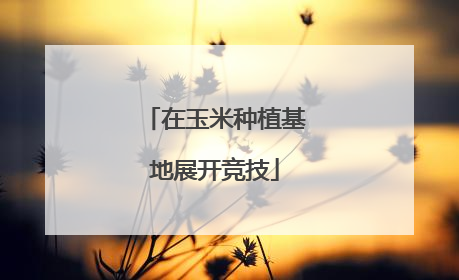 在玉米种植基地展开竞技