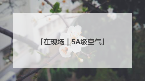 在现场｜5A级空气