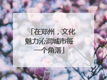 在郑州，文化魅力沁润城市每一个角落