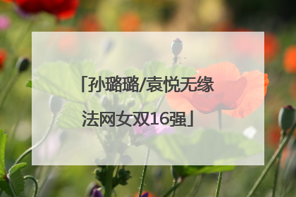 孙璐璐/袁悦无缘法网女双16强