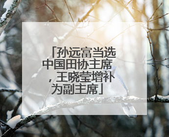 孙远富当选中国田协主席，王晓莹增补为副主席