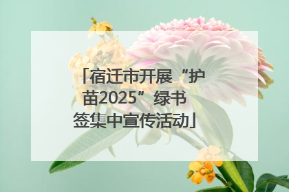 宿迁市开展“护苗2025”绿书签集中宣传活动