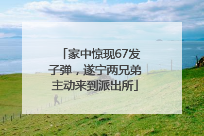家中惊现67发子弹，遂宁两兄弟主动来到派出所