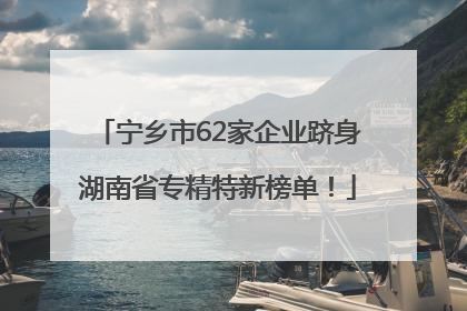 宁乡市62家企业跻身湖南省专精特新榜单！