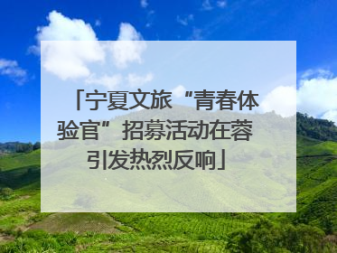 宁夏文旅“青春体验官”招募活动在蓉引发热烈反响