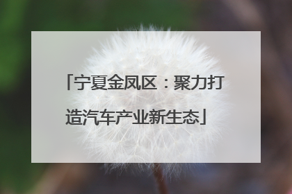宁夏金凤区：聚力打造汽车产业新生态