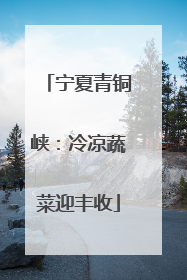 宁夏青铜峡：冷凉蔬菜迎丰收
