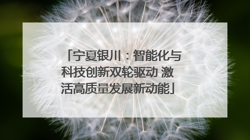 宁夏银川：智能化与科技创新双轮驱动 激活高质量发展新动能