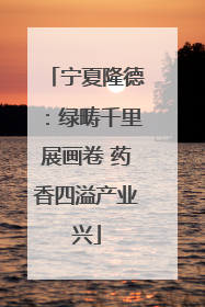 宁夏隆德：绿畴千里展画卷 药香四溢产业兴
