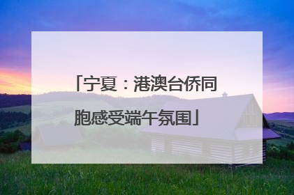 宁夏：港澳台侨同胞感受端午氛围