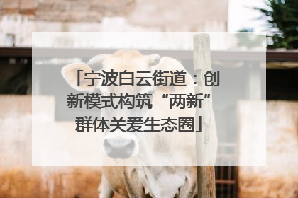 宁波白云街道：创新模式构筑“两新”群体关爱生态圈