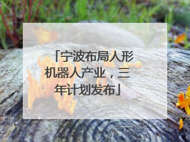 宁波布局人形机器人产业，三年计划发布