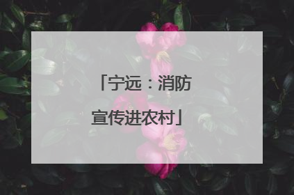 宁远：消防宣传进农村