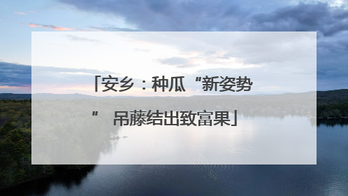 安乡：种瓜“新姿势” 吊藤结出致富果