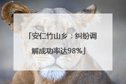 安仁竹山乡：纠纷调解成功率达98%