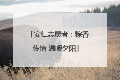 安仁志愿者：粽香传情 温暖夕阳