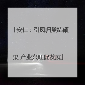安仁:引凤归巢结硕果 产业兴旺促发展