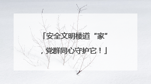 安全文明楼道“家”，党群同心守护它！