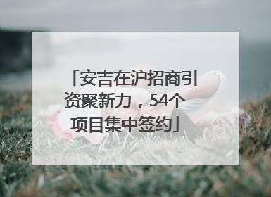 安吉在沪招商引资聚新力，54个项目集中签约