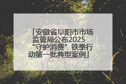 安徽省阜阳市市场监管局公布2025“守护消费”铁拳行动第一批典型案例