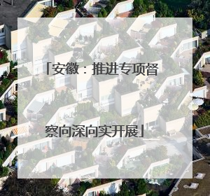 安徽：推进专项督察向深向实开展