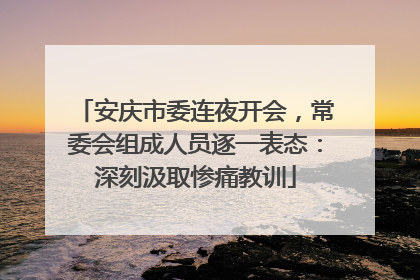 安庆市委连夜开会，常委会组成人员逐一表态：深刻汲取惨痛教训