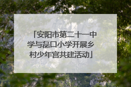 安阳市第二十一中学与磊口小学开展乡村少年宫共建活动