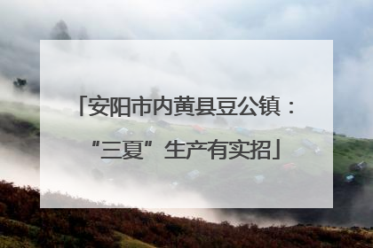 安阳市内黄县豆公镇：“三夏”生产有实招