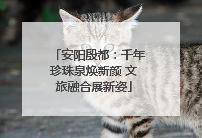 安阳殷都：千年珍珠泉焕新颜 文旅融合展新姿