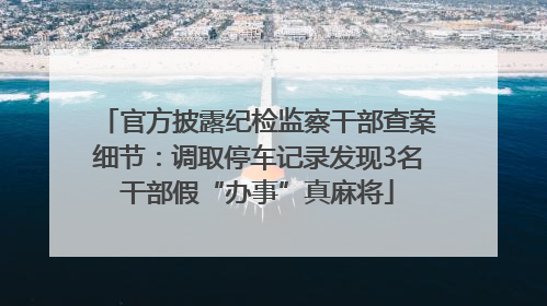 官方披露纪检监察干部查案细节：调取停车记录发现3名干部假“办事”真麻将
