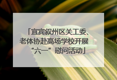 宜宾叙州区关工委、老体协赴高场学校开展“六一”慰问活动