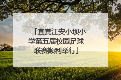 宜宾江安小坝小学第五届校园足球联赛顺利举行