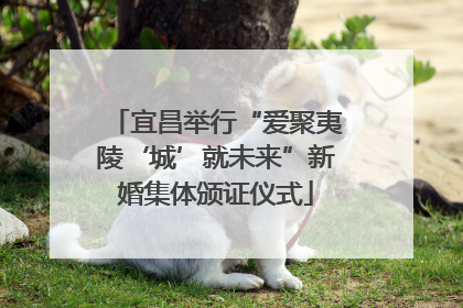 宜昌举行“爱聚夷陵‘城’就未来”新婚集体颁证仪式