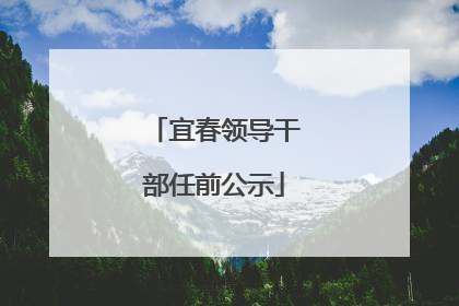 宜春领导干部任前公示