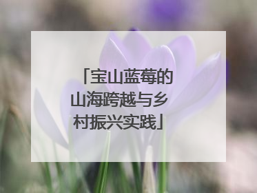 宝山蓝莓的山海跨越与乡村振兴实践