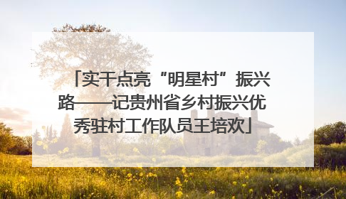 实干点亮“明星村”振兴路——记贵州省乡村振兴优秀驻村工作队员王培欢