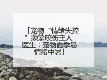 宠物“情绪失控”频繁咬伤主人 医生：宠物夏季易情绪中暑
