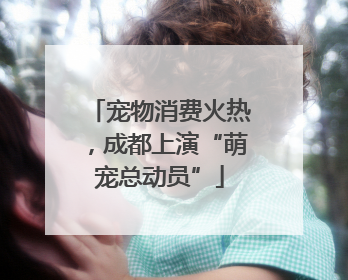 宠物消费火热，成都上演“萌宠总动员”