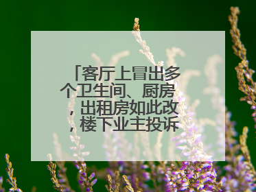 客厅上冒出多个卫生间、厨房，出租房如此改，楼下业主投诉：多少不舒服