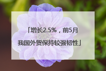 增长2.5%，前5月我国外贸保持较强韧性