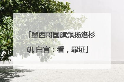 墨西哥国旗飘扬洛杉矶 白宫：看，罪证