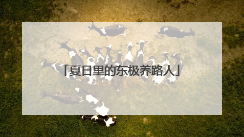 夏日里的东极养路人