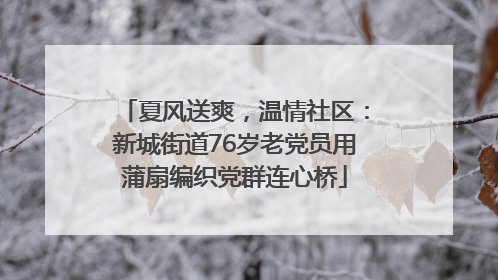 夏风送爽，温情社区：新城街道76岁老党员用蒲扇编织党群连心桥
